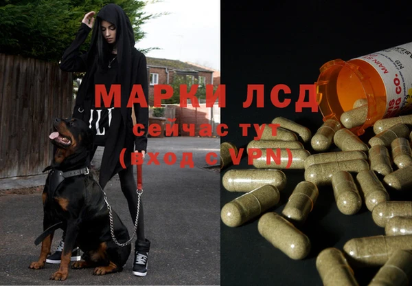 герыч Аркадак